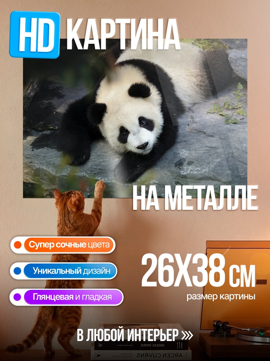 Картина на металле ленивая панда