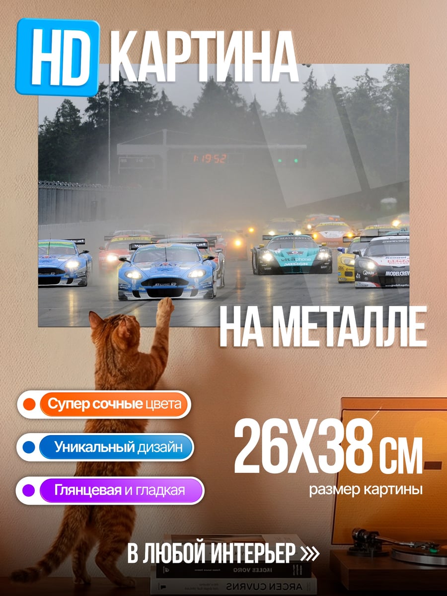 Картина на металле Гонка под дождем