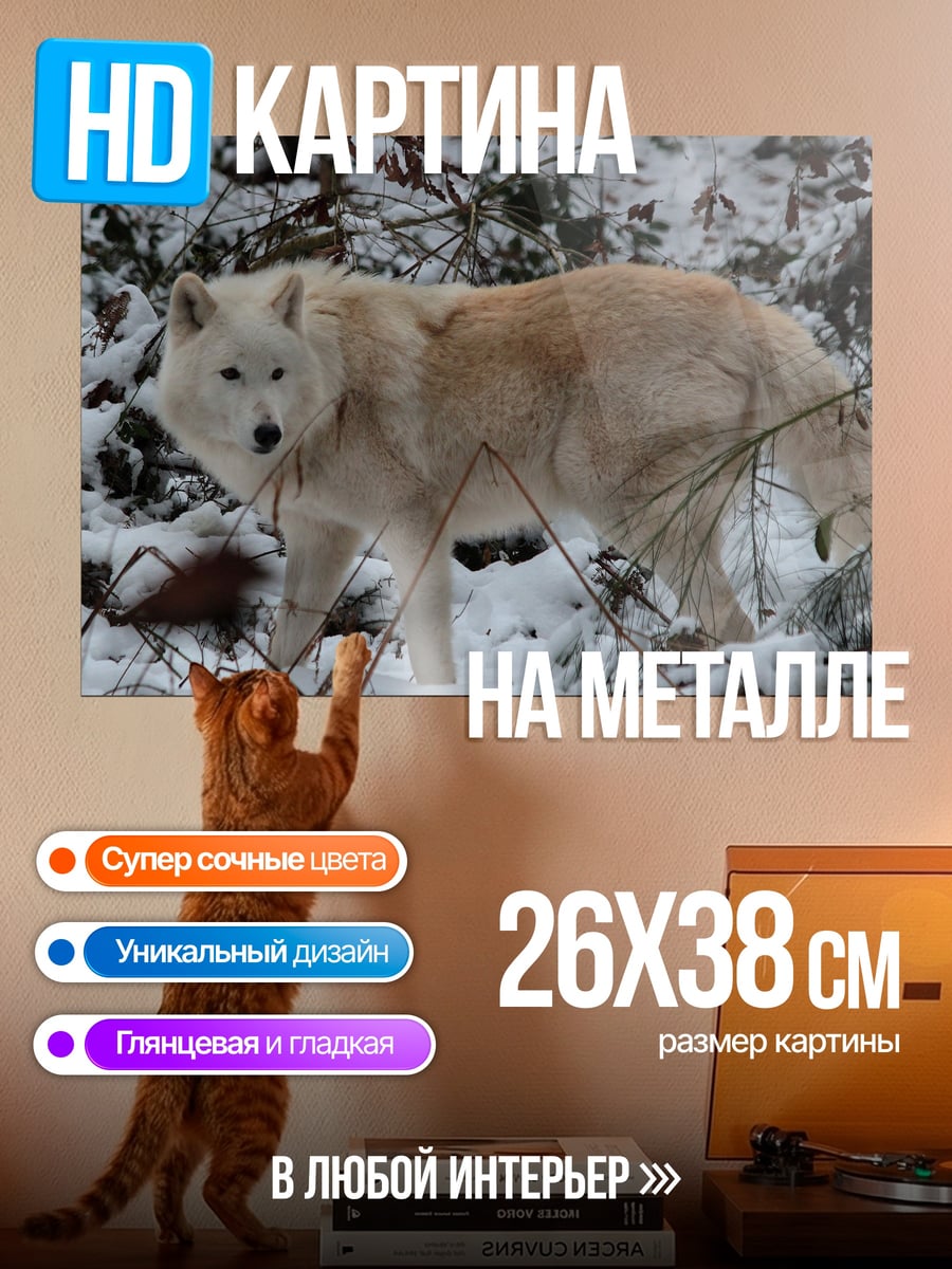 Картина на металле Белый волк зимой