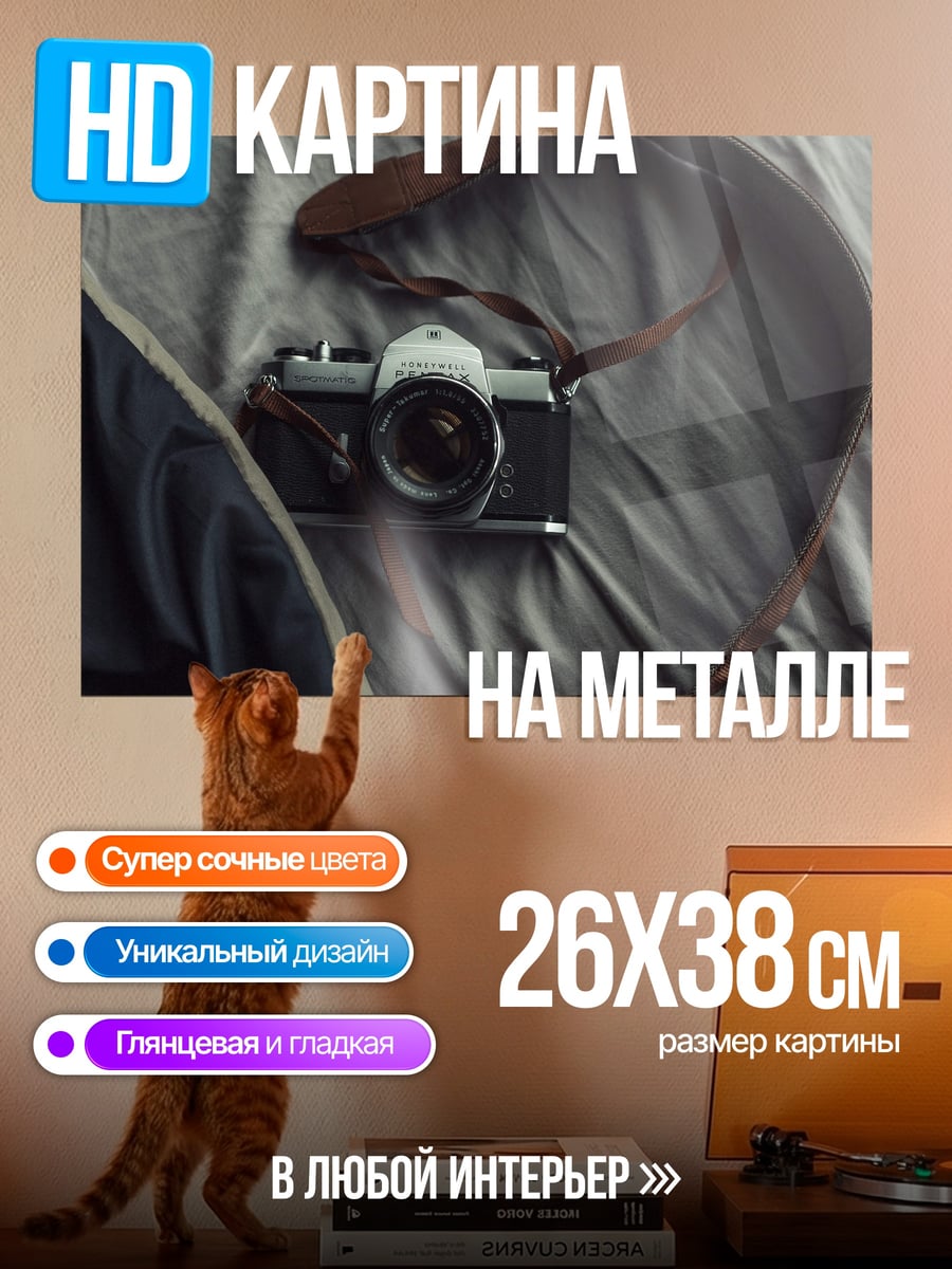 Картина на металле Старая фотокамера