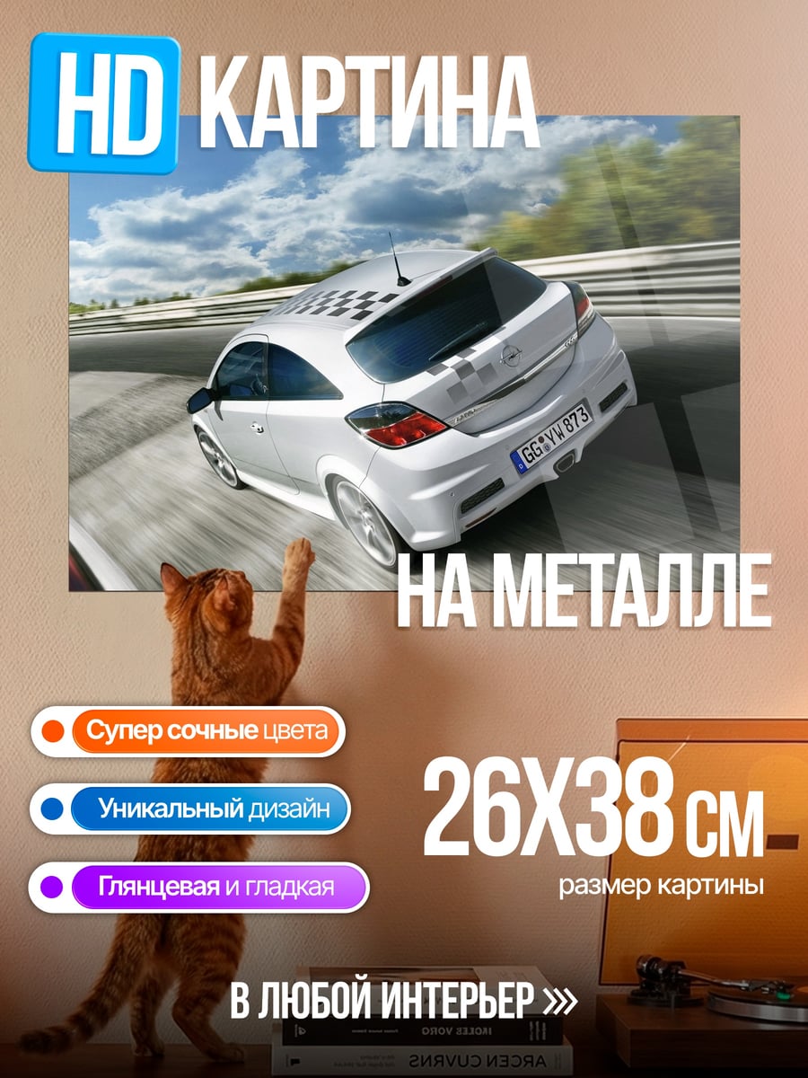 Картина на металле Гоночный автомобиль на трассе