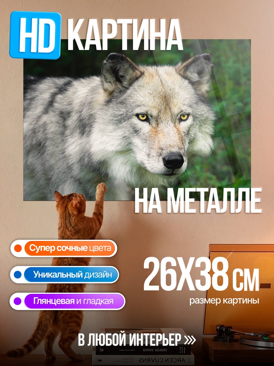 Картина на металле Портрет волка