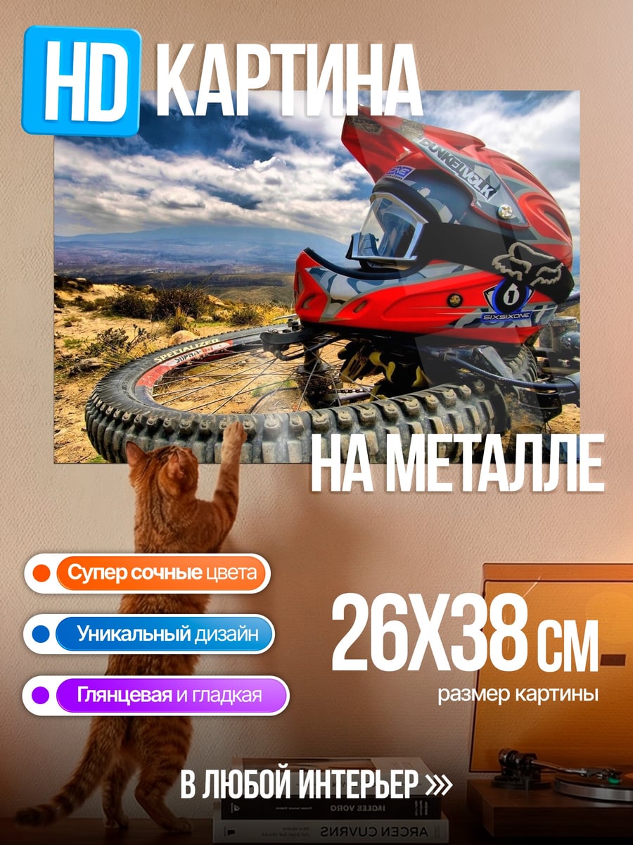 Картина на металле шлем для даунхилла