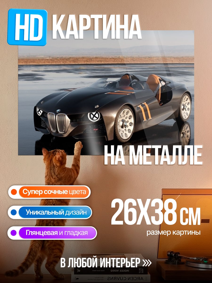 Картина на металле Черный родстер