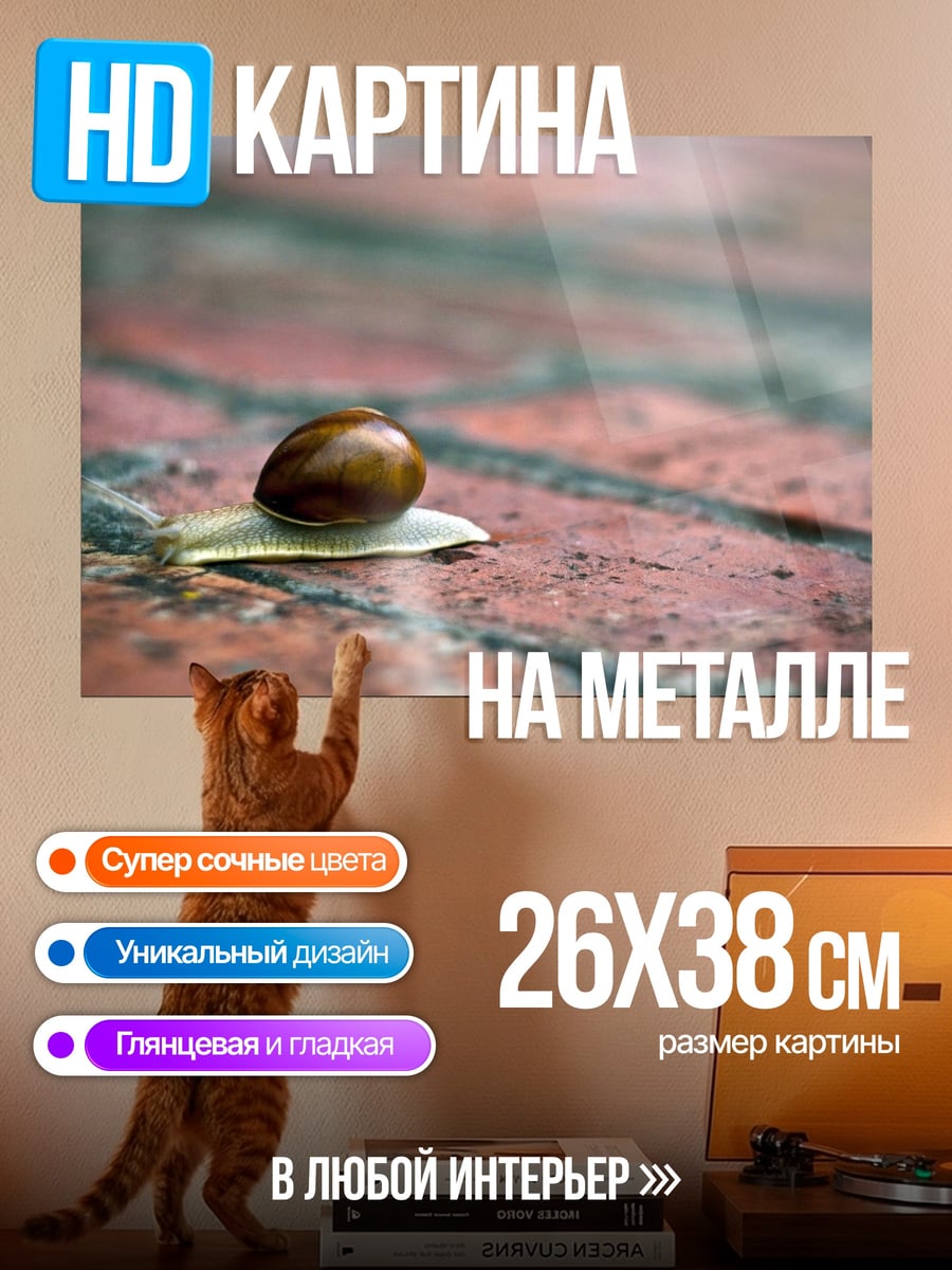 Картина на металле улитка на кирпичах
