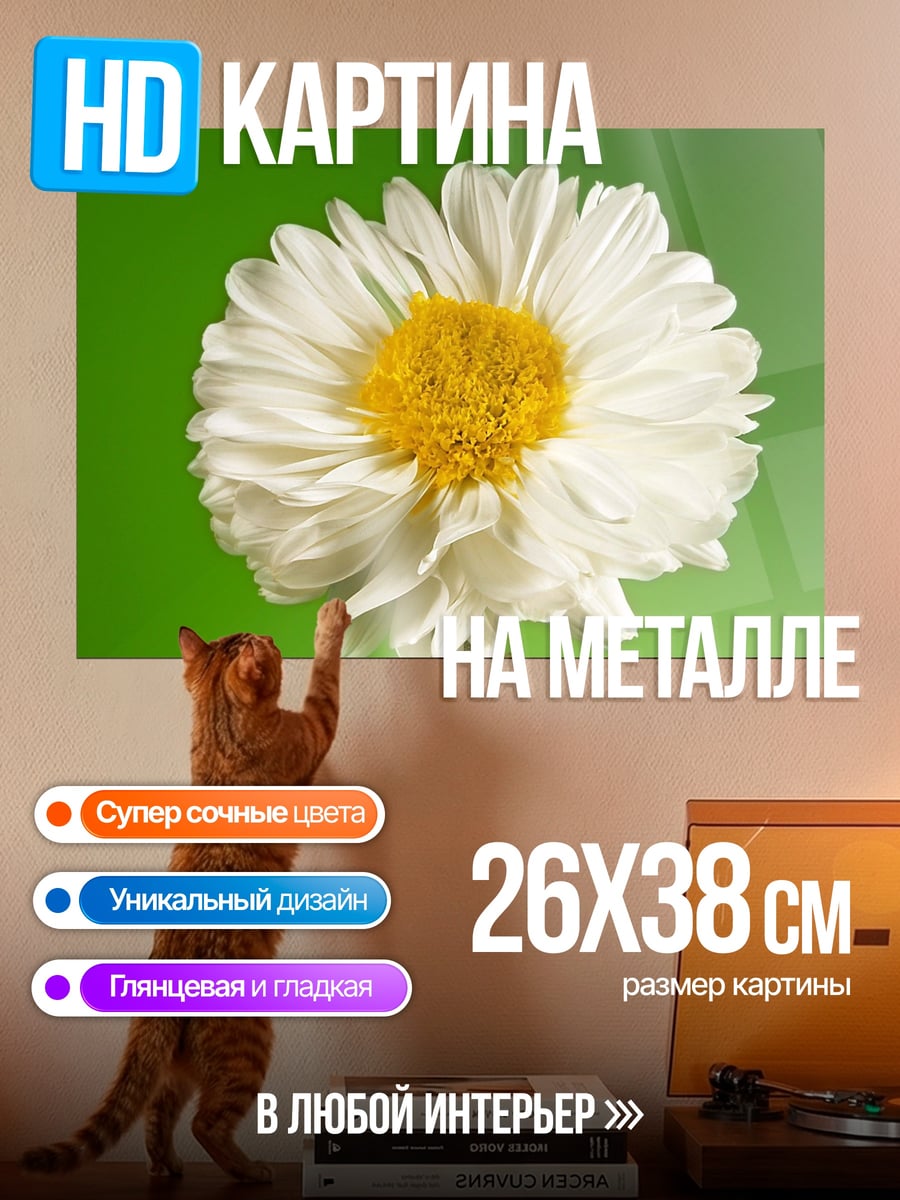 Картина на металле Белая ромашка