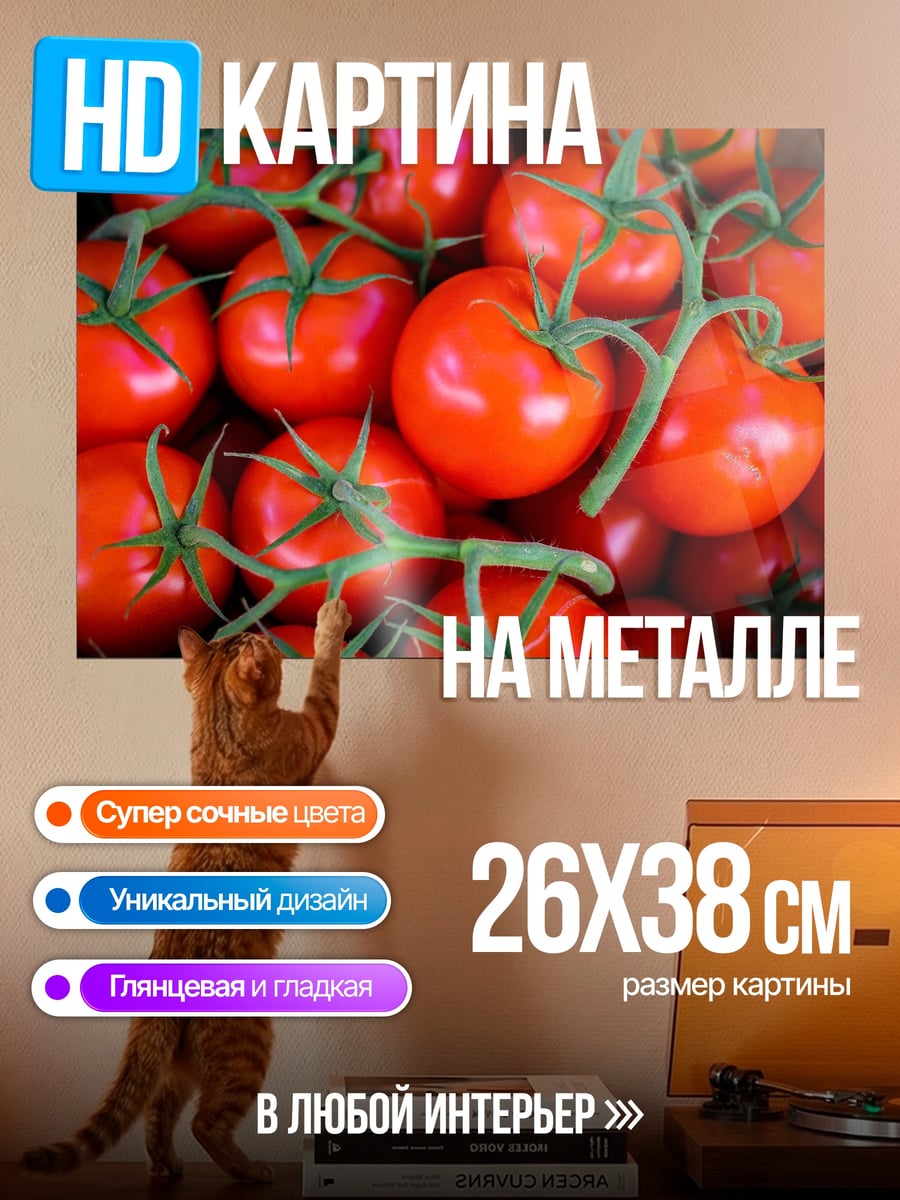 Картина на металле Красные помидоры