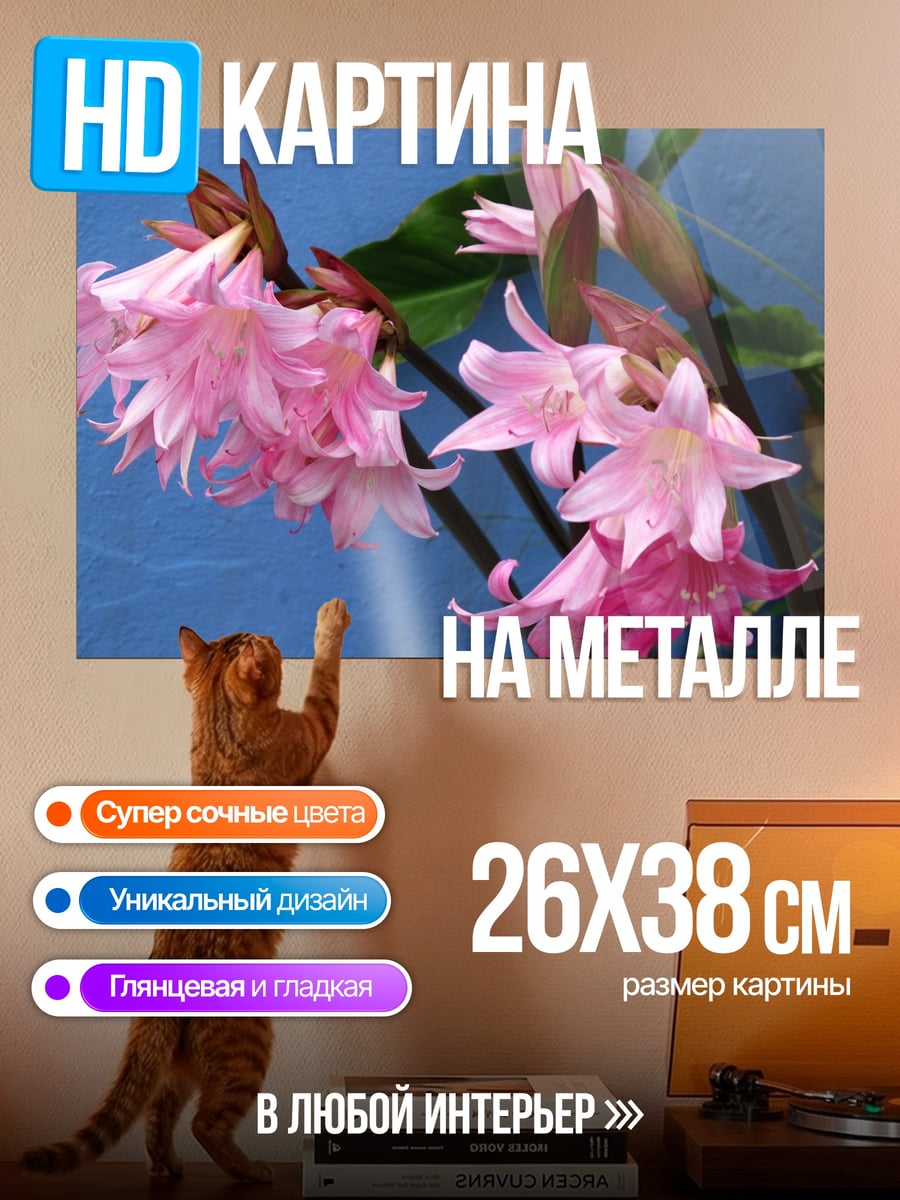 Картина на металле Розовые лилии
