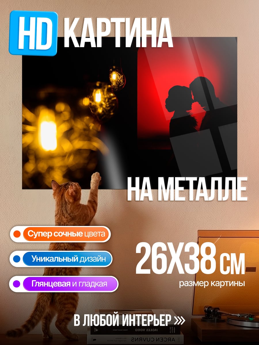 Картина на металле Силуэт пары