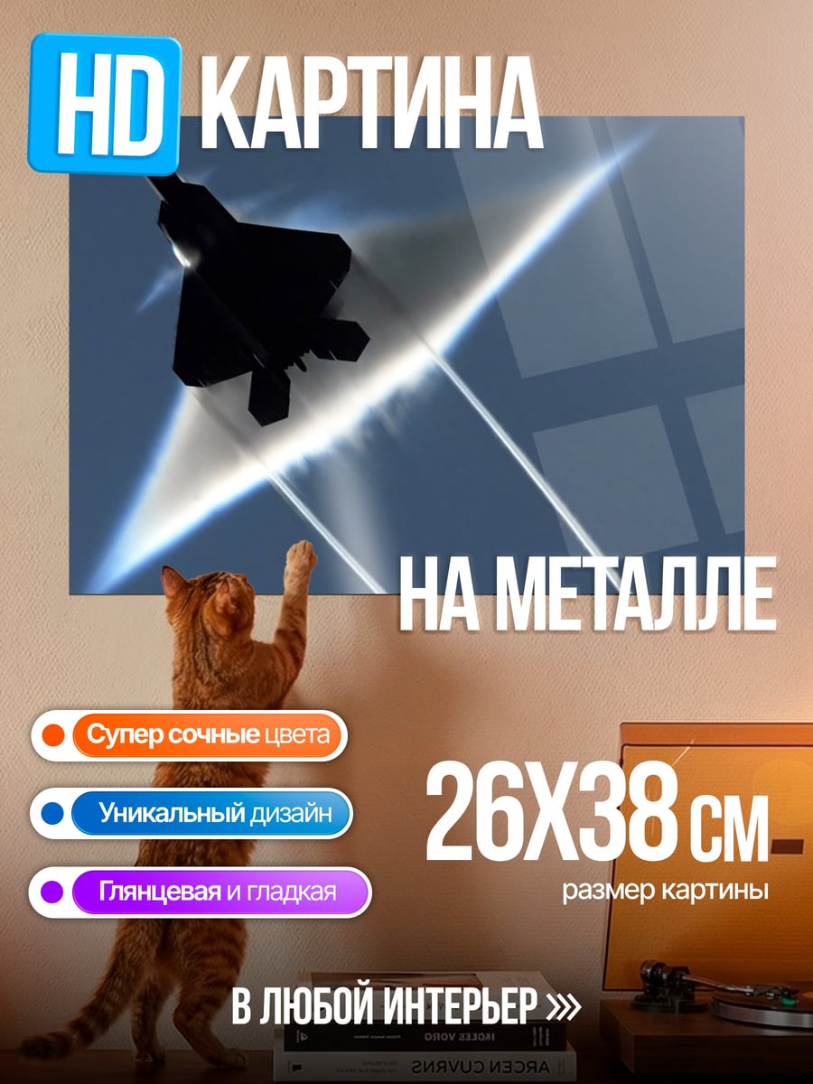 Картина на металле Истребитель в небе