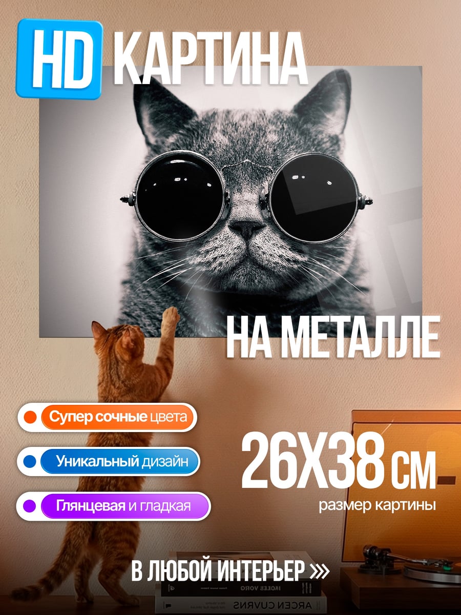 Картина на металле Кот в очках