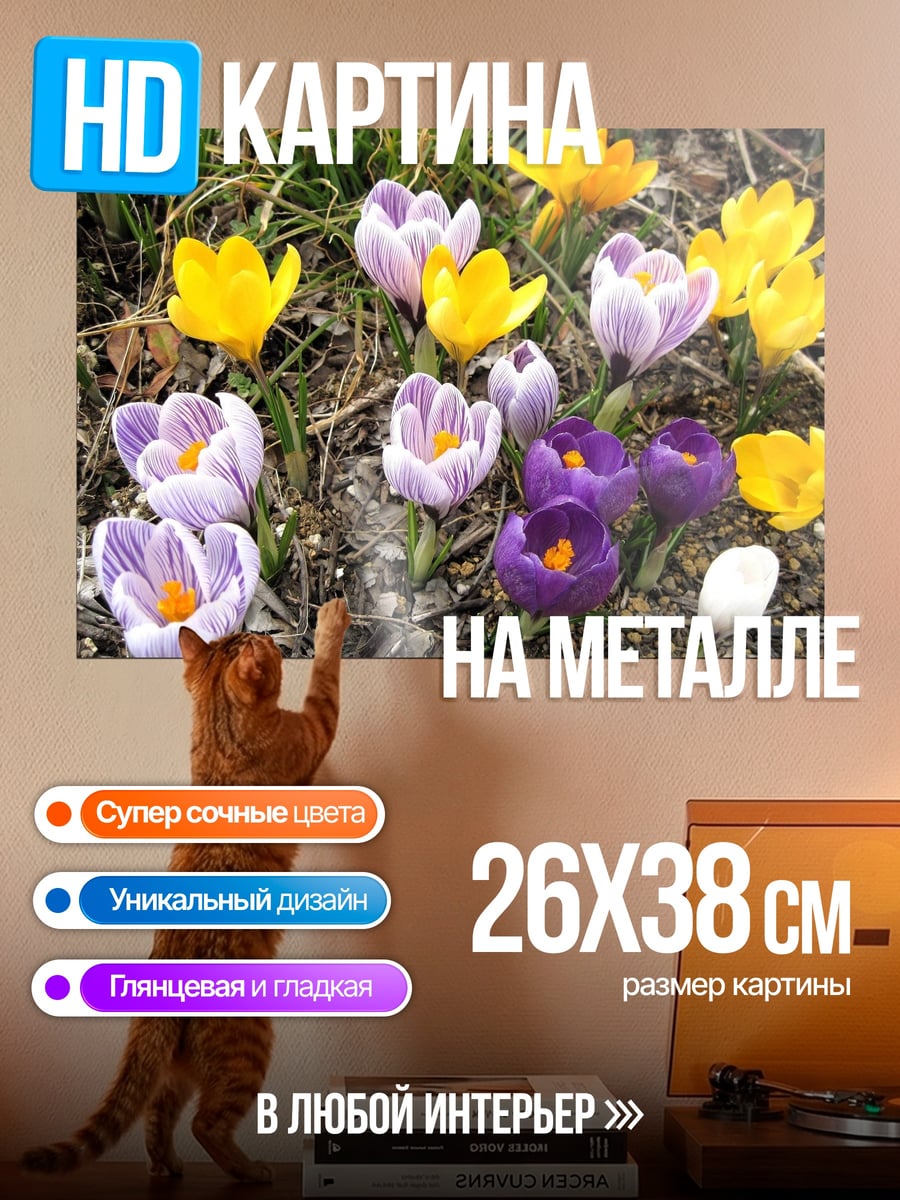 Картина на металле Весенние крокусы