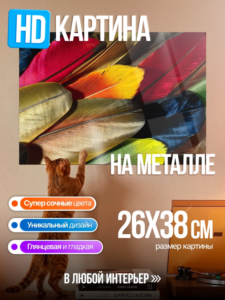 Картина на металле Яркие перья птиц