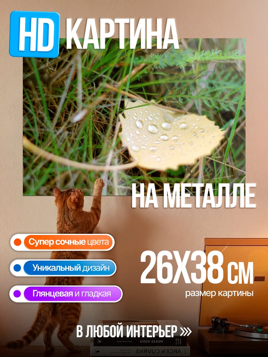 Картина на металле лист с каплями росы
