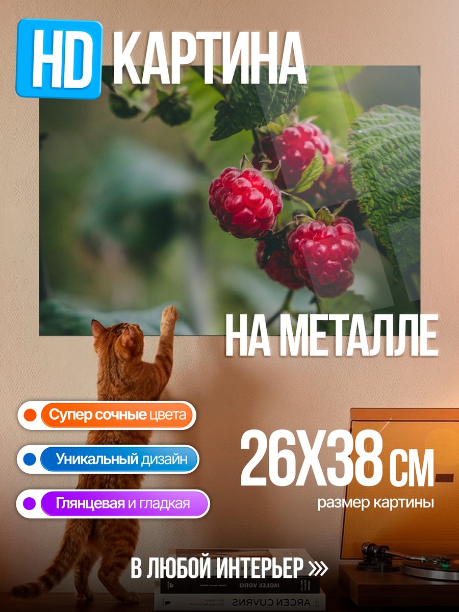 Картина на металле Спелая малина