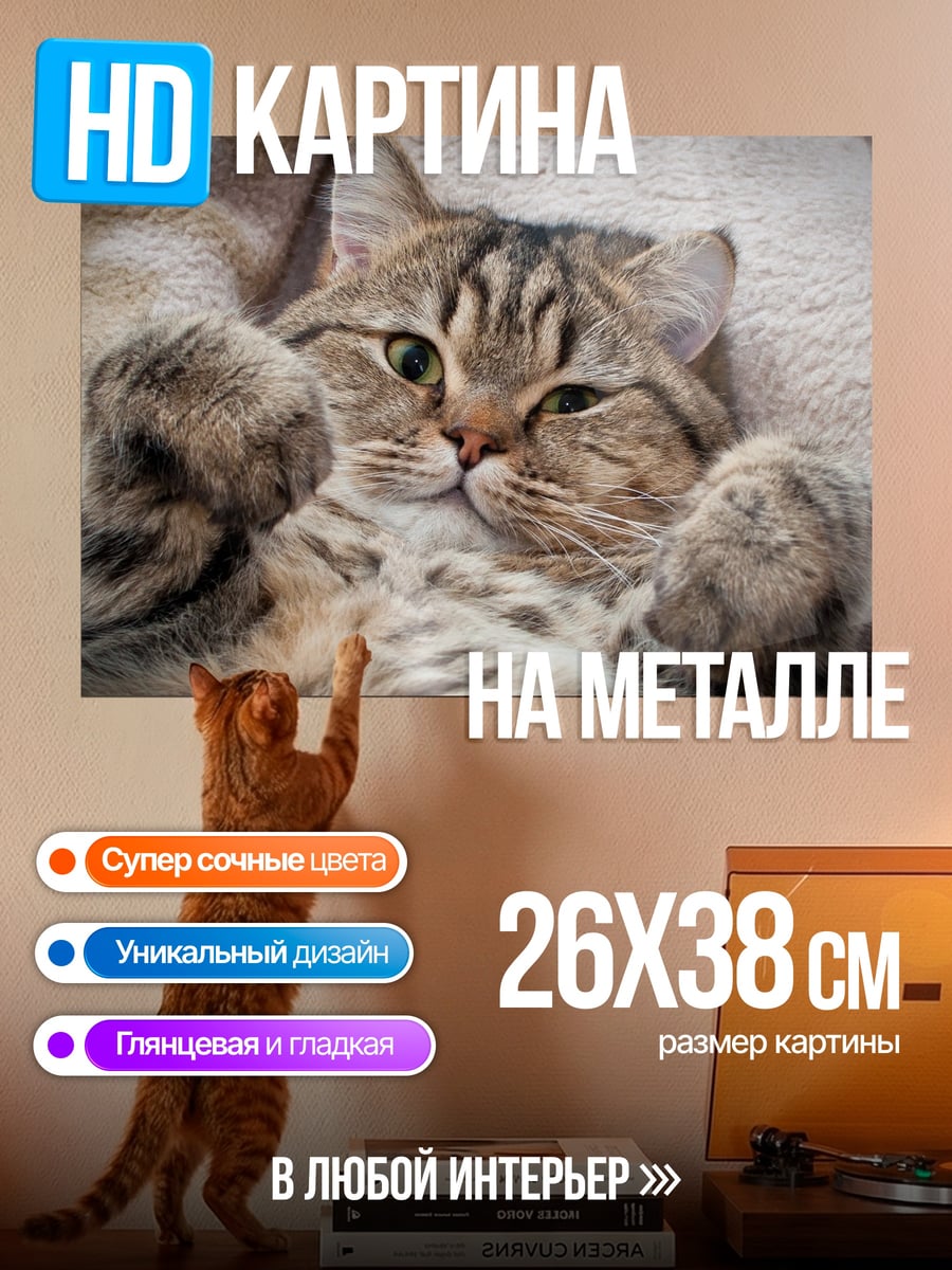 Картина на металле Ленивый кот