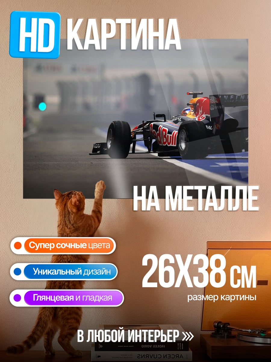 Картина на металле Гоночный болид