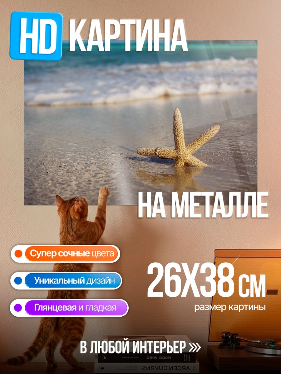 Картина на металле Морская звезда на берегу