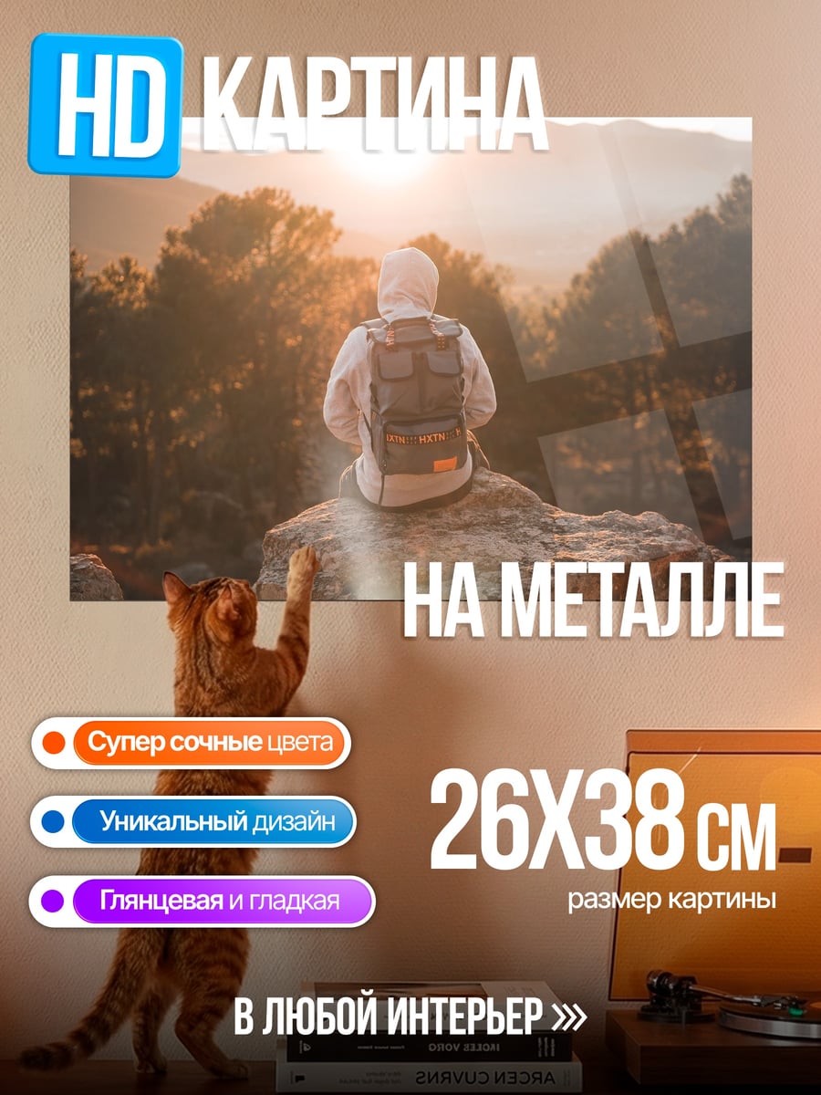 Картина на металле Человек на вершине