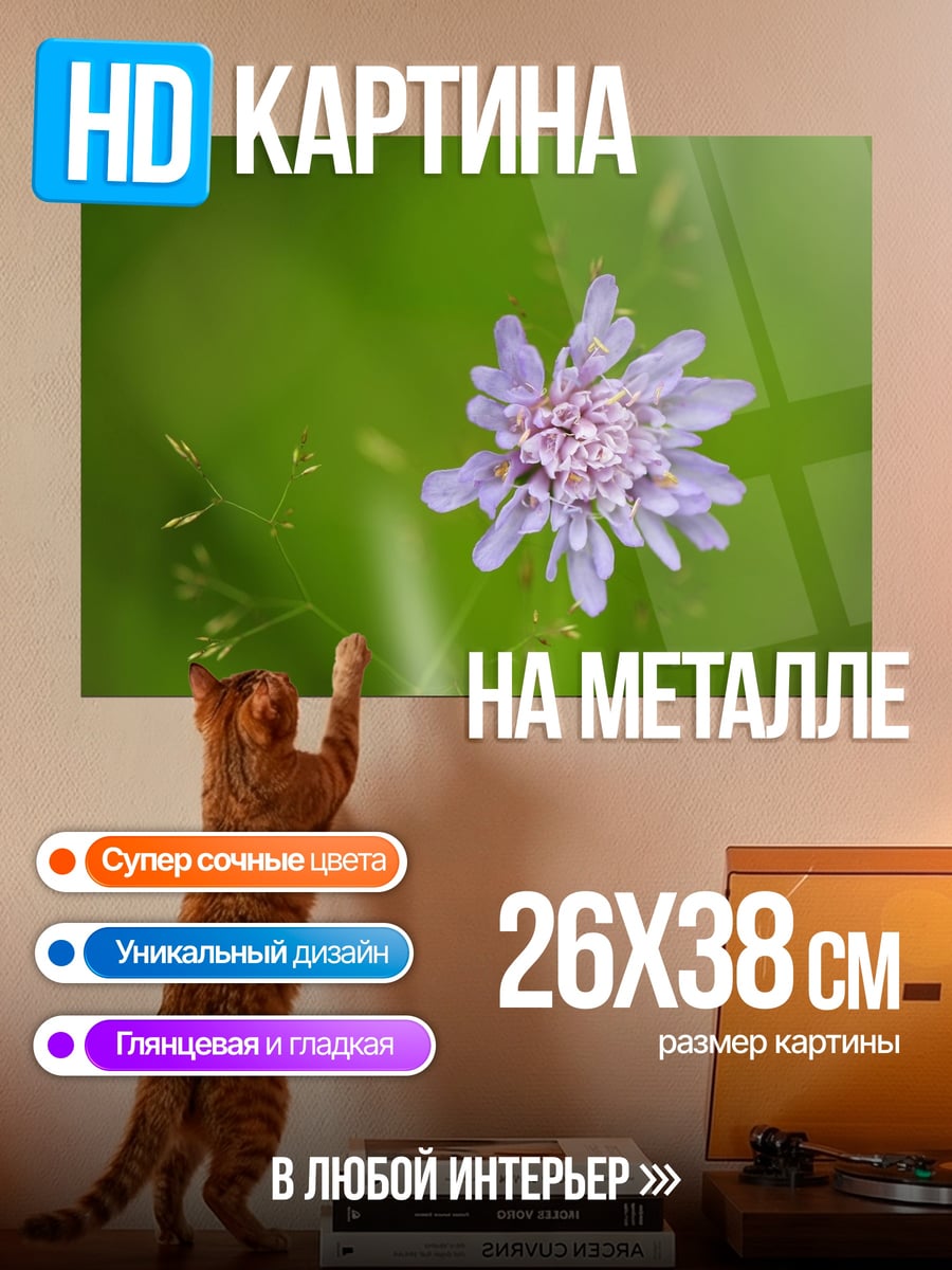 Картина на металле Сиреневый цветок