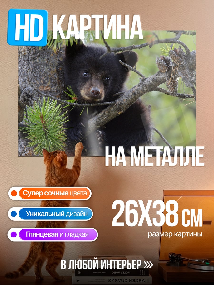 Картина на металле Медвежонок на дереве