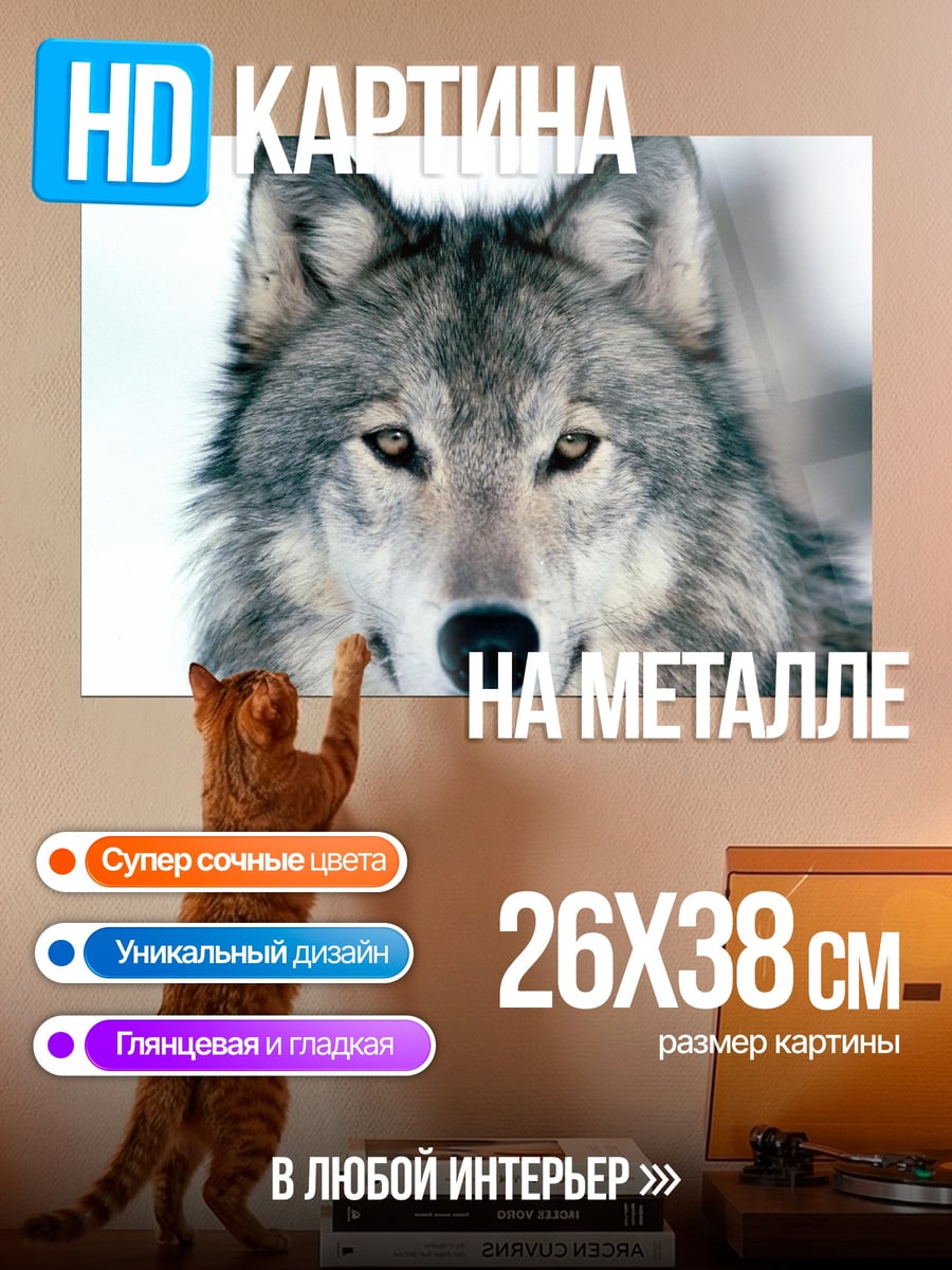 Картина на металле Портрет волка