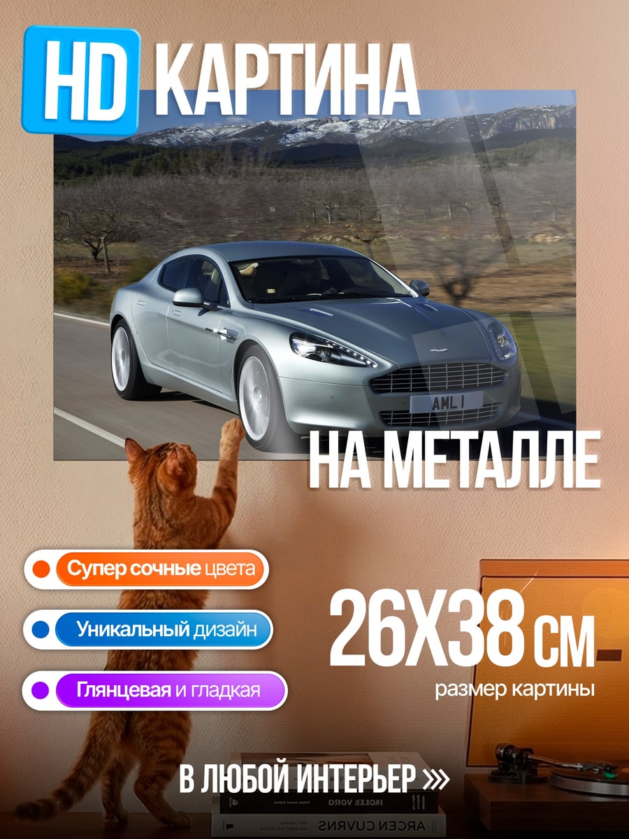 Картина на металле Серебристый спорткар