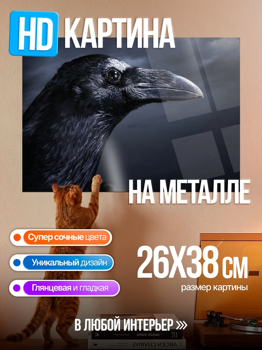 Картина на металле Ворон в ночи