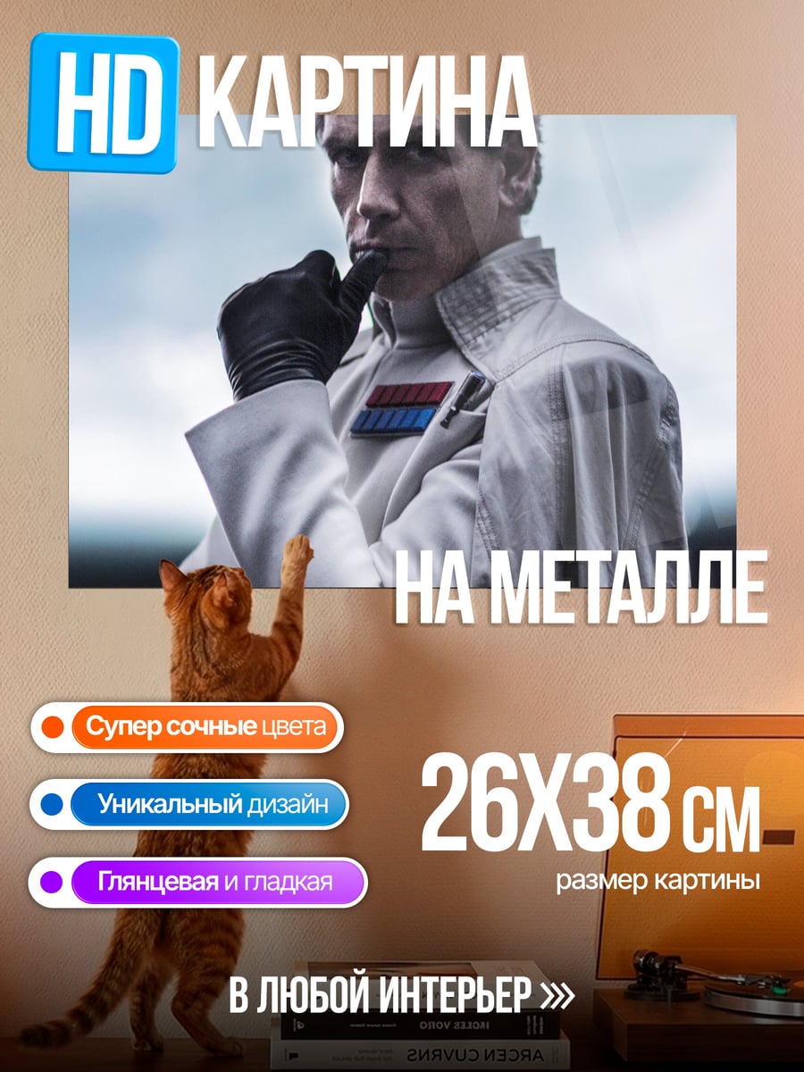 Картина на металле Имперский офицер