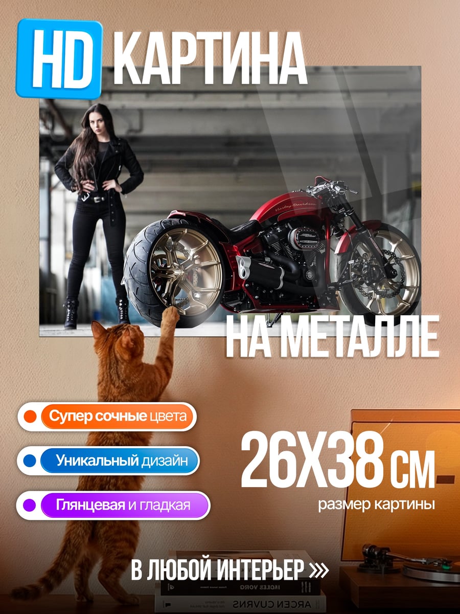 Картина на металле Девушка и мотоцикл