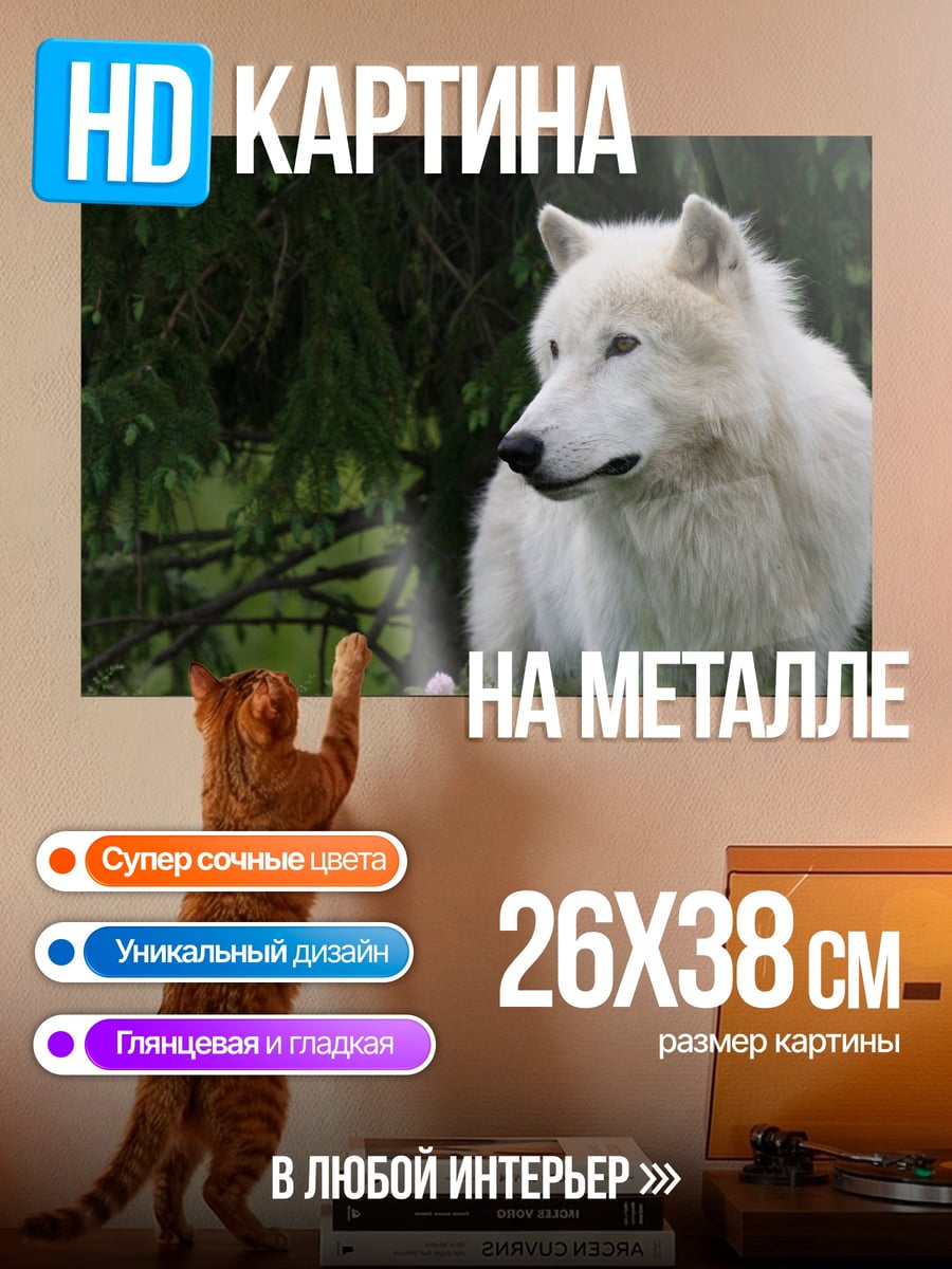 Картина на металле Белый волк