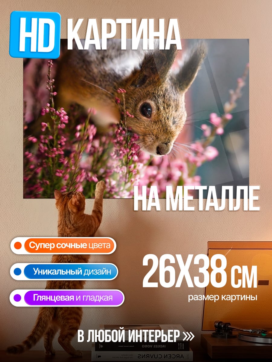 Картина на металле Белка в цветах