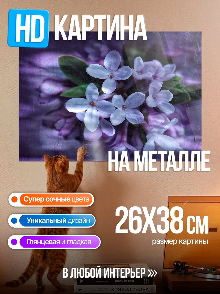 Картина на металле Фиолетовые цветы
