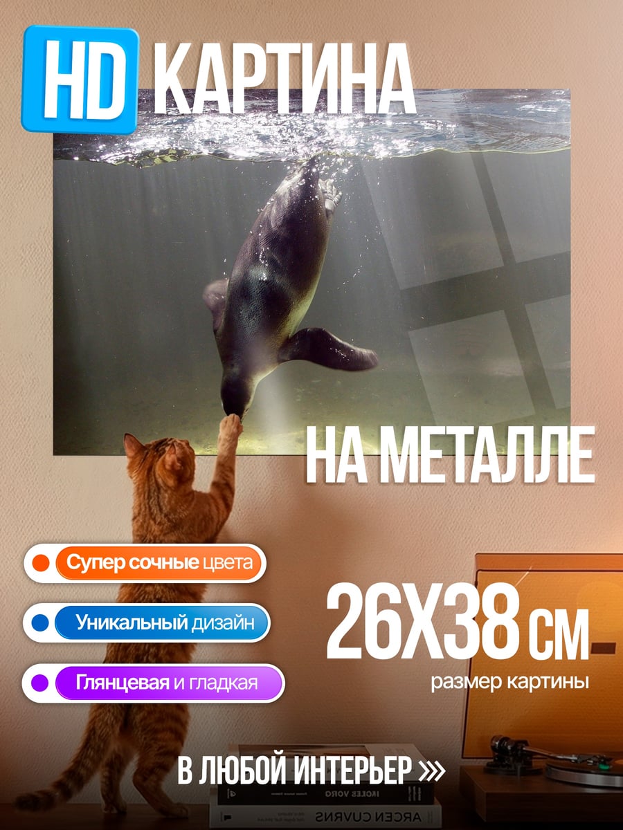Картина на металле Пингвин ныряет