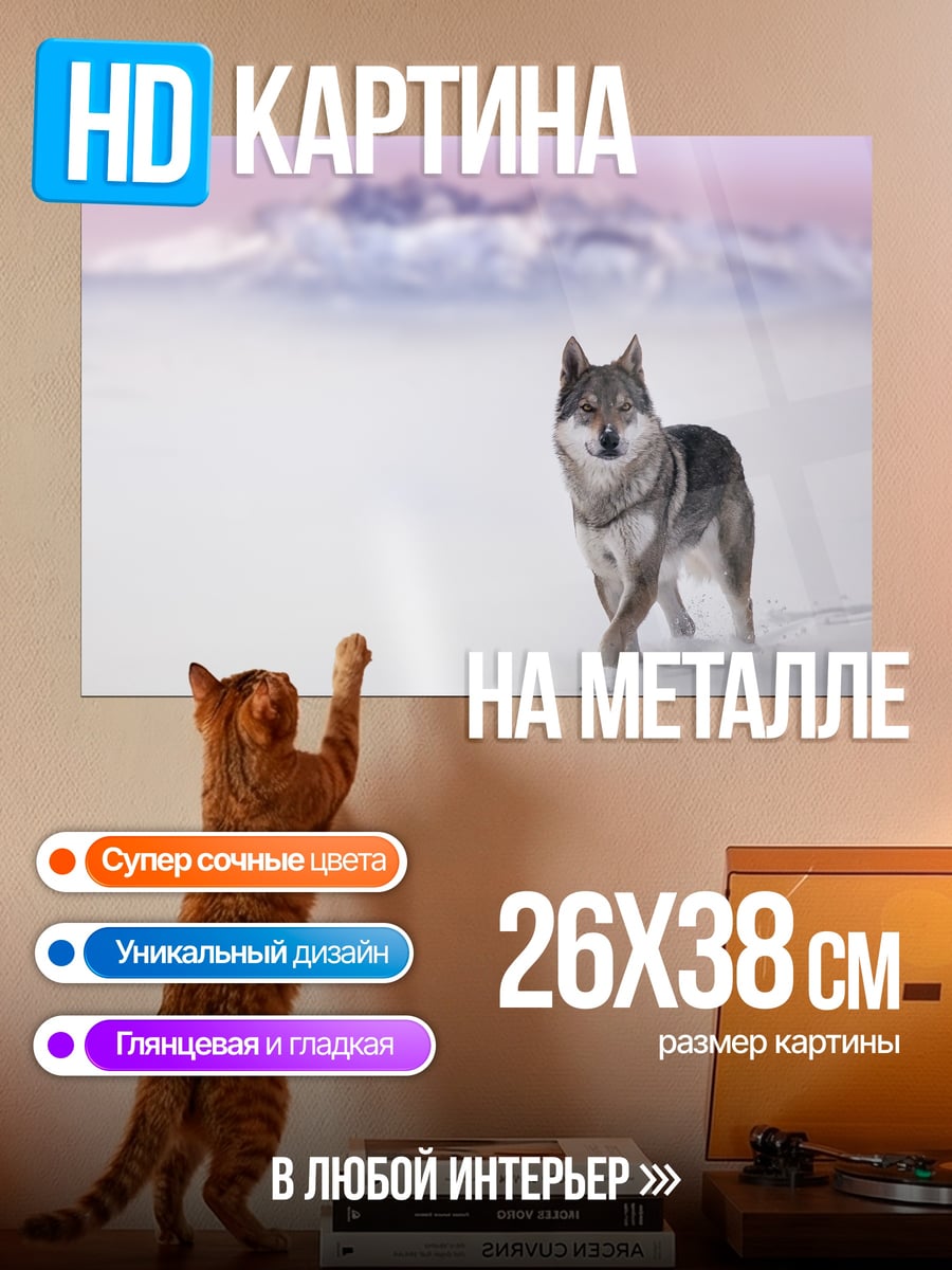 Картина на металле Одинокий волк