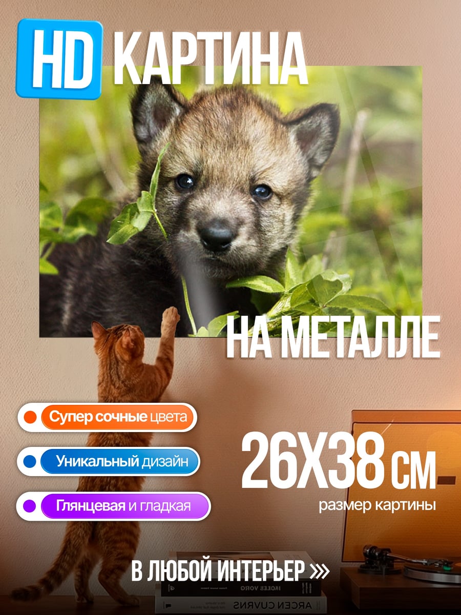 Картина на металле Волчонок в траве