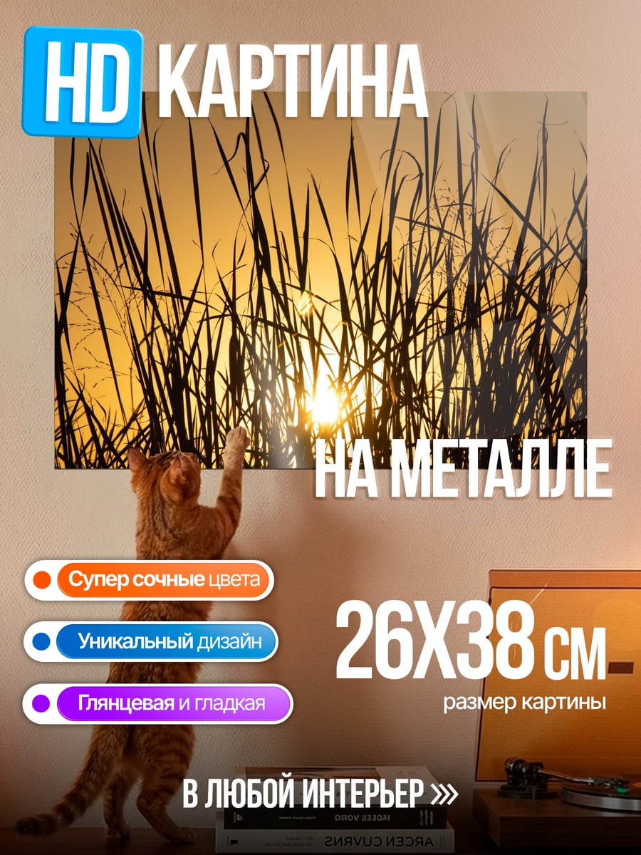 Картина на металле трава на закате