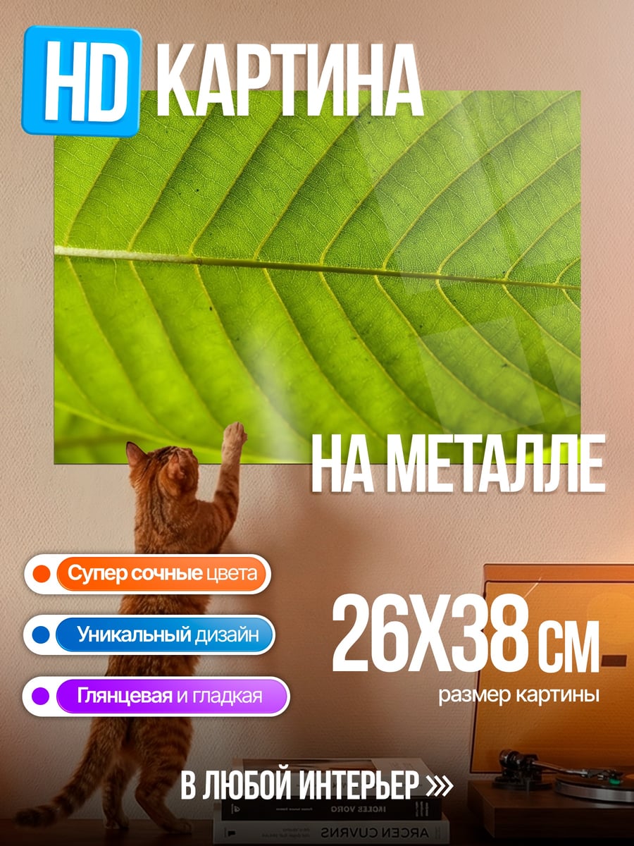 Картина на металле Крупный план листа