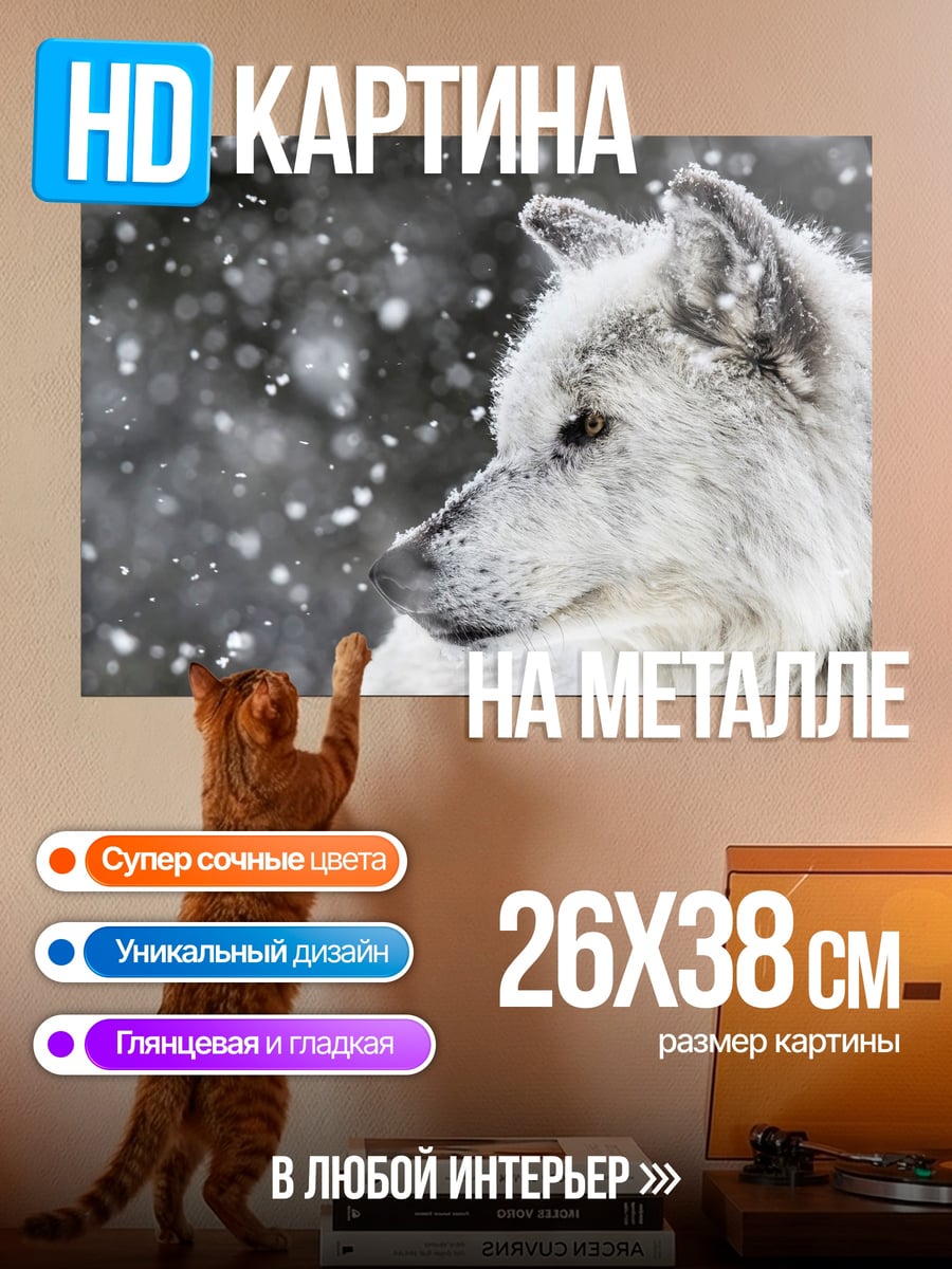 Картина на металле Белый волк