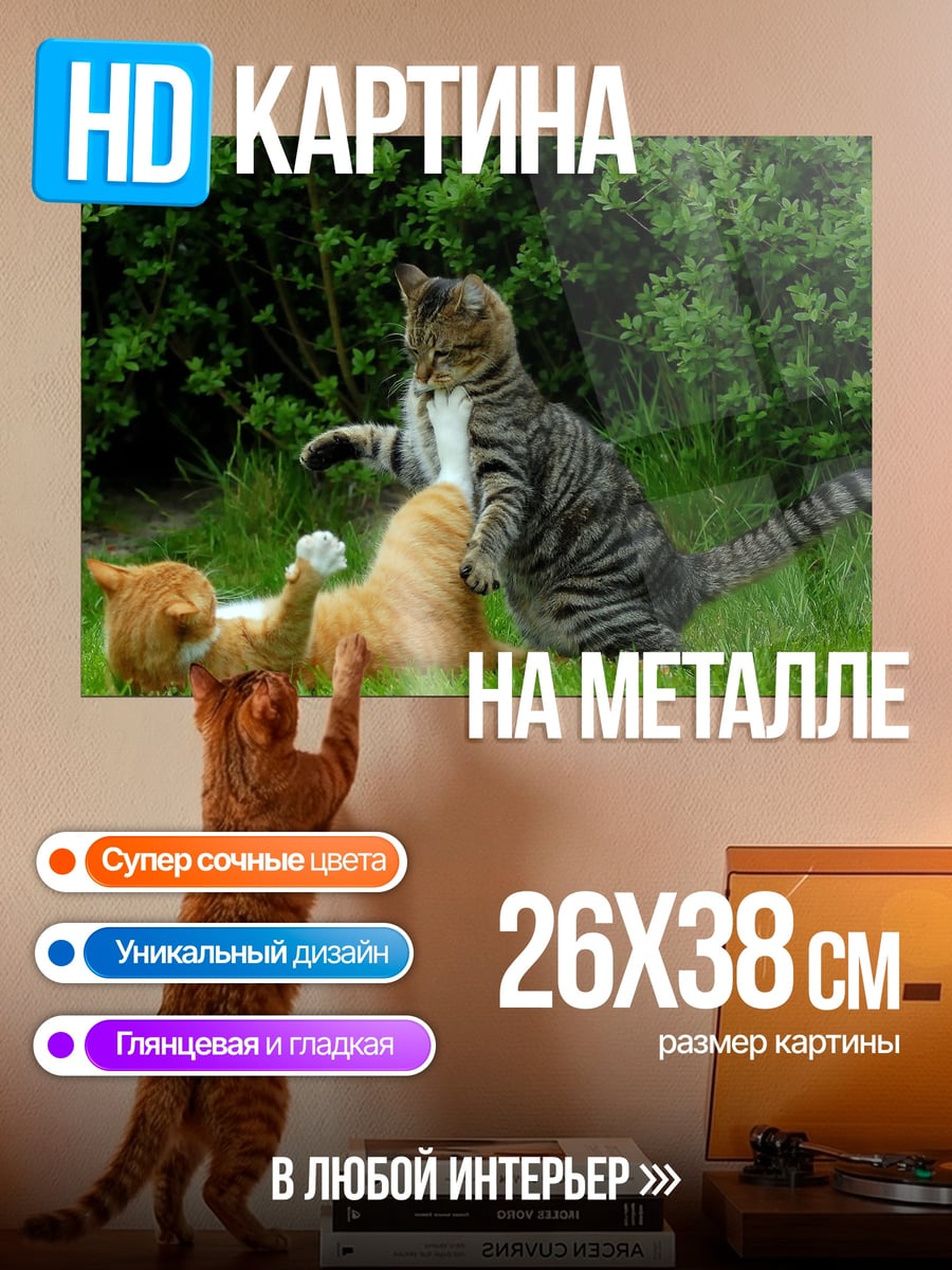 Картина на металле драка котов трава