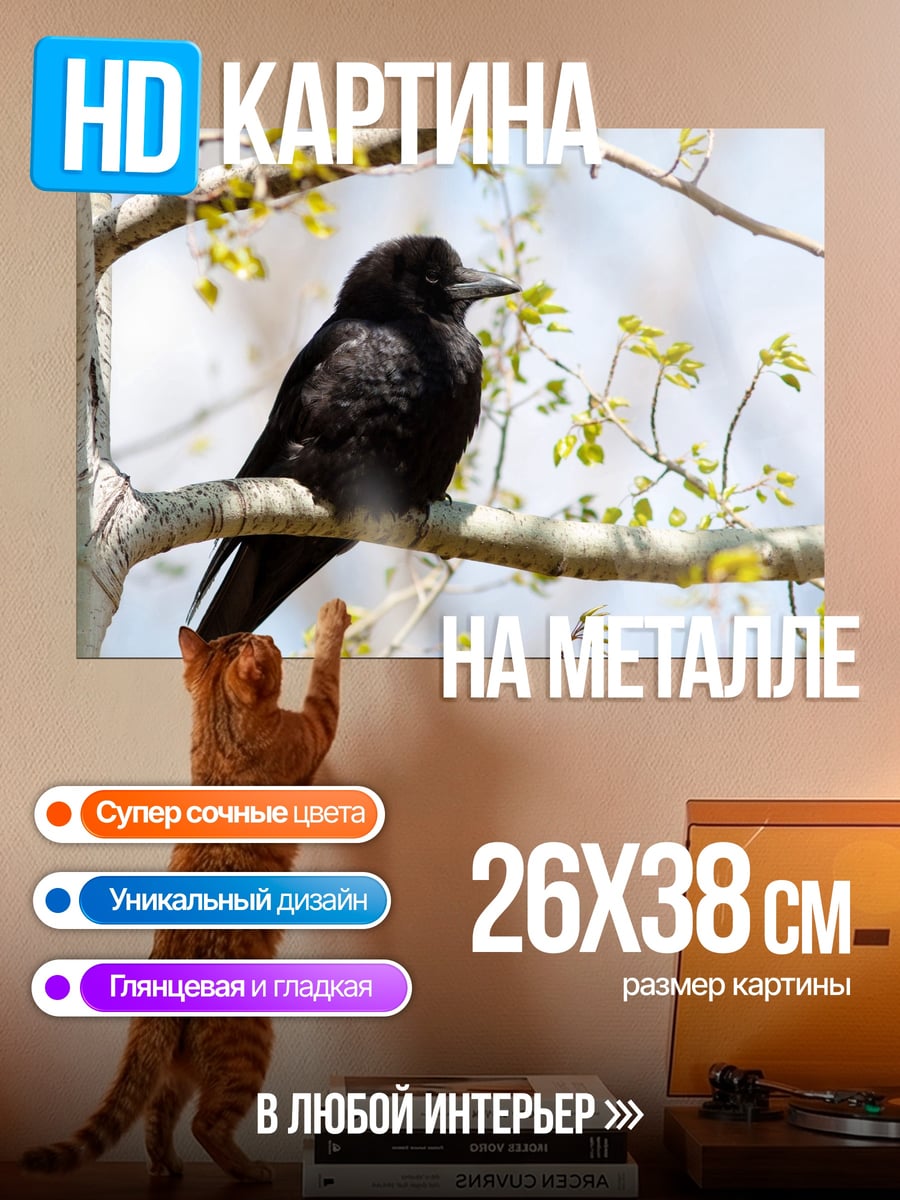 Картина на металле Ворон на ветке