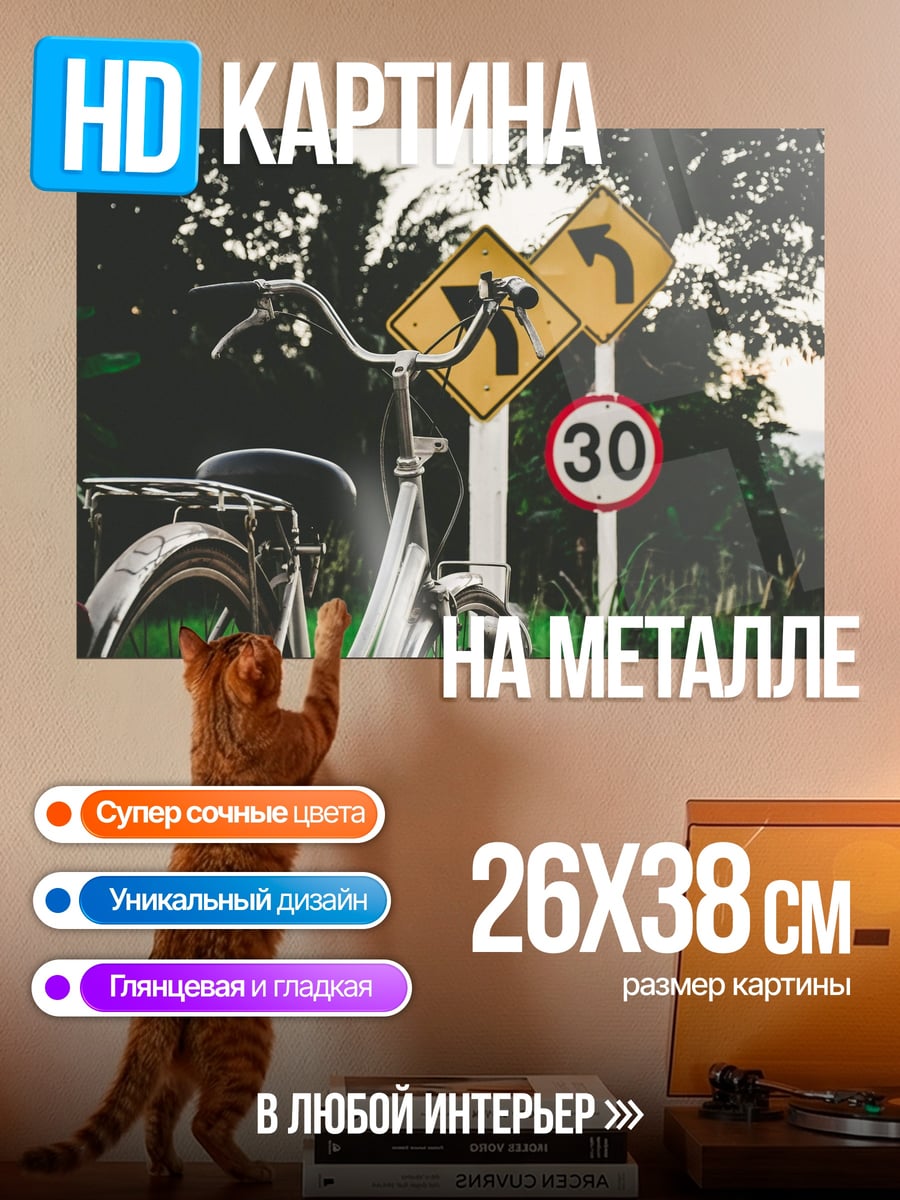 Картина на металле велосипед и знаки