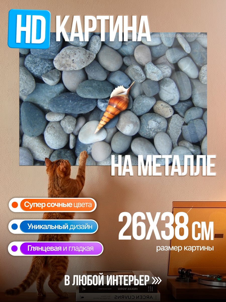 Картина на металле Ракушка на камнях