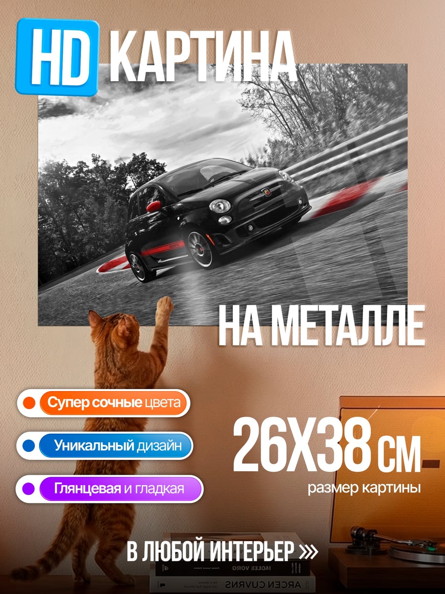 Картина на металле черное авто трек
