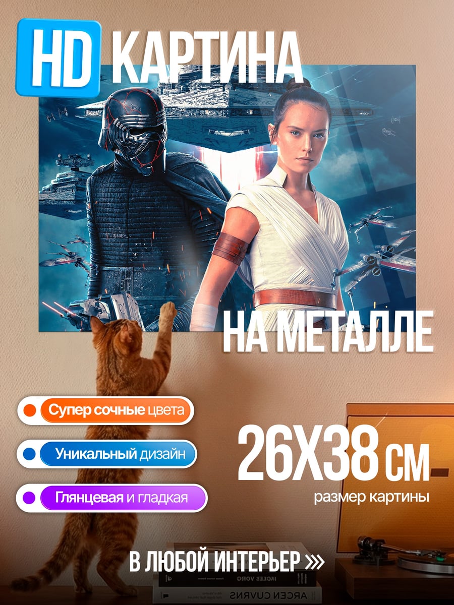 Картина на металле Рей и Кайло