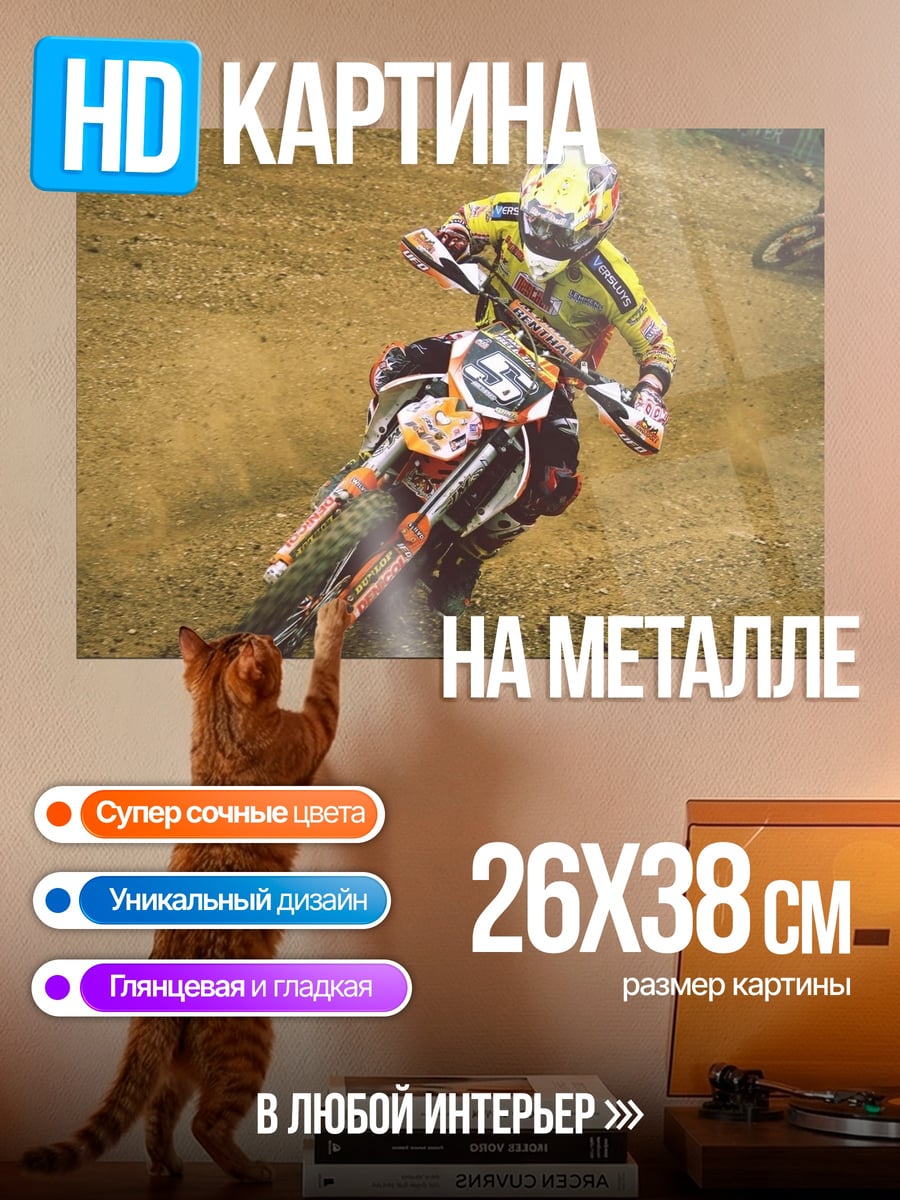 Картина на металле Мотокросс гонщик в грязи