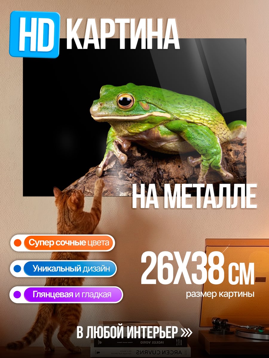Картина на металле зеленая лягушка на ветке