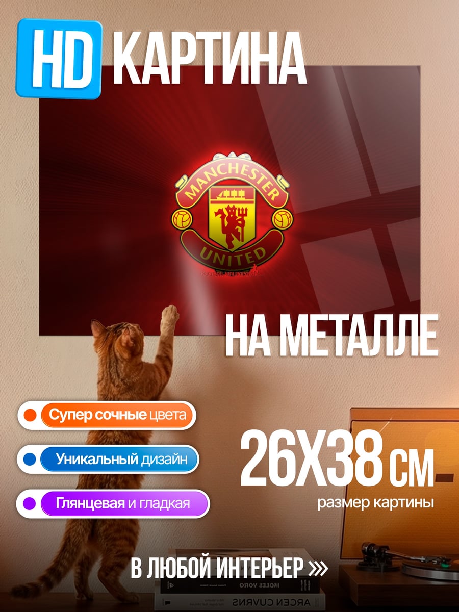 Картина на металле логотип Манчестер Юнайтед