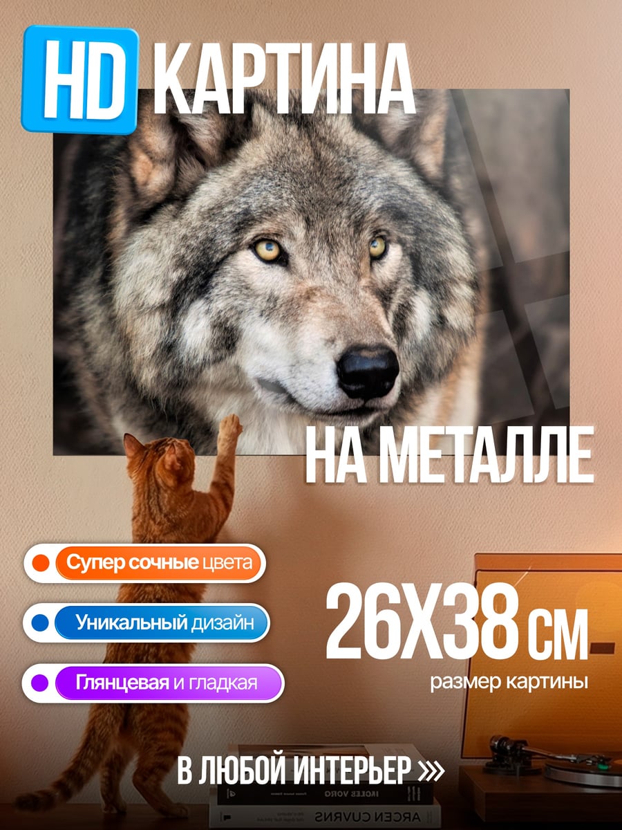 Картина на металле Волк смотрит вперед