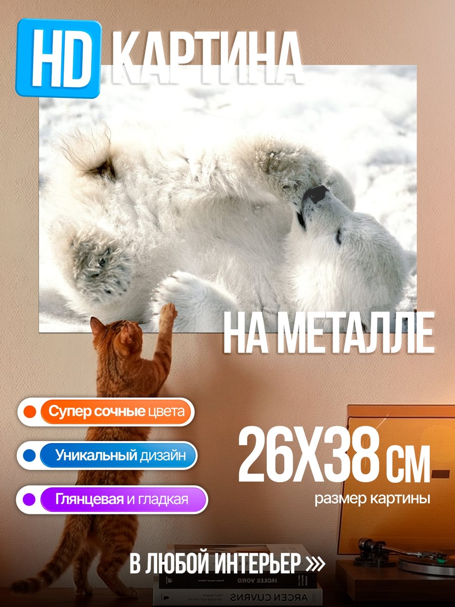 Картина на металле белый медведь лежит